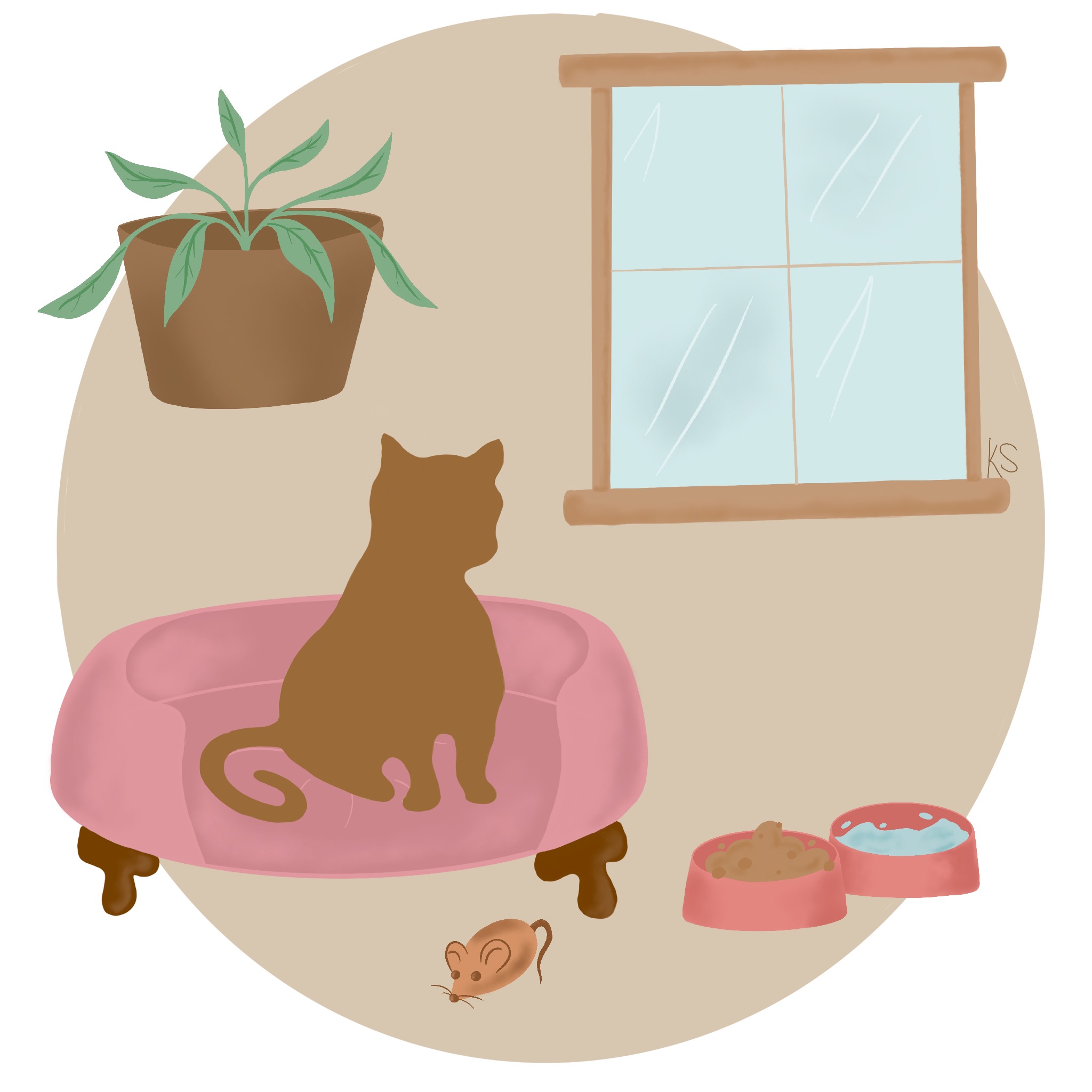 Cat Sitting Steel City Pet Sitters and Dog Walkers, Pittsburgh, PA